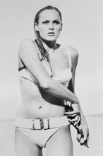 Ursula Andress 4x6 inch real photo #462748