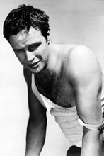 Marlon Brando vintage 4x6 inch real photo #462787