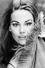 Claudine Auger vintage 4x6 inch real photo #462900