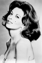 Tina Louise very busty studio pin-up with bare shoulders 4x6 inch real photo