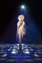 Cher full length pose in concert wearing gold dress 4x6 inch real photograph