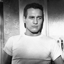 Paul Newman iconic beefcake pose in white t-shirt 1960's 12x12 inch photograph