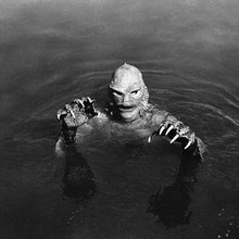 Creature From The Black Lagoon 12x12 inch photograph Gillman in water