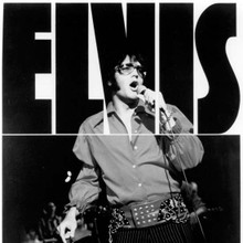 Elvis Presley cool pose 1970 in concert wearing shades 12x12 photo