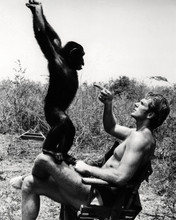 Ron Ely on set Tarzan 1966 seated in chair with Cheetah 12x18 inch Poster