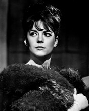 Gypsy Natalie Wood beautiful portrait with fur around shoulders 12x18  Poster