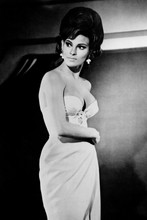 Raquel Welch gorgeous pin-up in white bra & skirt 12x18  Poster