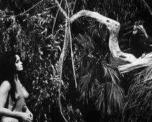 Tarzana, The Wild Girl Femi Benussi naked in jungle 12x18  Poster