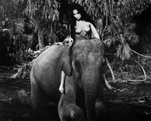 Tarzana Franca Polesello topless riding elephant 12x18  Poster