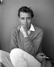 Dirk Bogarde classic matinee idol 1950's pose 12x18  Poster