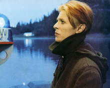 David Bowie The Man Who Fell To Earth 12x18  Poster