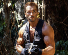 Predator Arnold Schwarzenegger iconic in jungle holding gun 12x18  Poster