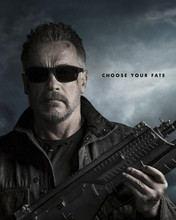 Arnold Schwarzenegger Terminator: Dark Fate movie poster 12x18  Poster