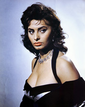 Sophia Loren beautiful studio portrait with huge cleavage 12x18  Poster