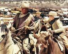 The Cowboys John Wayne riding the herd with young cowboy 12x18  Poster