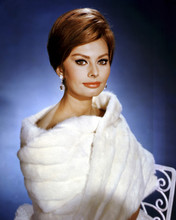 Sophia Loren studio glamour pose early 1960's in fur jacket 12x18  Poster