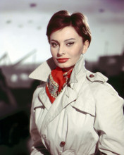 Sophia Loren striking pose in white raincoat and red scarf 12x18  Poster