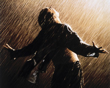The Shawshank Redemption Tim Robbins movie poster art 12x18  Poster