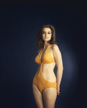 Valerie Leon busty pin-up 1970's in orange bikini 12x18  Poster