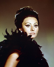 Sophia Loren elegant 1960's studio portrait in feathers 12x18  Poster