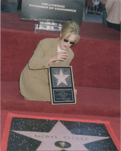 Meryl Streep 8x10 press photo on red carpet receving star on Hollywood Walk Fame