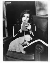 The Avengers TV series 1980's 8x10 photo Diana Rigg sitting with poodle