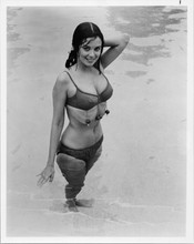 Phyllis Davis sexy pose in bikini in pool 1970's 8x10 photo