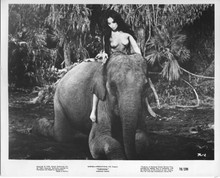 Tarzana original 1970 8x10 photo Franca Polesello rides elephant