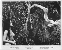 Tarzana original 1970 8x10 photo Franca Polesello in jungle looking at bird