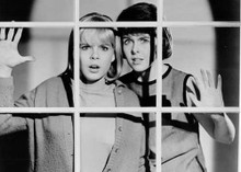 I Saw What You Did original 1965 8x10 photo Sara Lane Andi Garrett