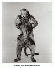 Wizard of Oz vintage 8x10 photograph on fiber based paper The Cowardly Lion