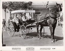 That Touch of Mink original8x10 photo 1962 Doris Day Cary Grant in buggy