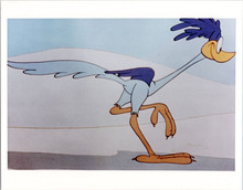 The Road Runner cartoon character vintage 1980's 8x10 photo in full flight