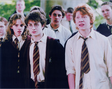 Harry Potter 8x10 photo Daniel Radcliffe Emma Watson Rupert Grint at Hogwarts