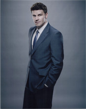 David Boreanaz studio portrait in suit Bones TV series 8x10 photo