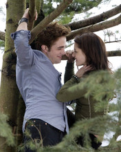 Robert Pattinson Kristen Stewart tender moment by tree Twilight series 8x10