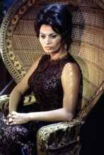 Sophia Loren beautiful pose in black dress sat in hanging chair 1960s 8x10 photo