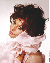 Sophia Loren beautiful studio glamour pose in pink dress circa 1965 8x10 photo