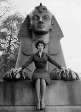 Sophia Loren sits by statue of Egyptian Queen Nefertiti 8x10 photo