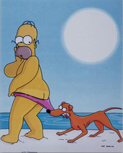 The Simpsons TV series Homer Simpson on beach as dog pulls his shorts 8x10 photo