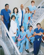 Grey's Anatomy TV series 8x10 publicity photo complete cast line-up on staircase