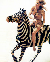 Tanya Roberts as Sheena Queen of the Jungle riding wild zebra 11x17 inch Poster