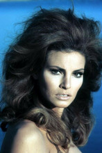 Raquel Welch looks to side circa 1967 glamour pose 4x6 inch photo