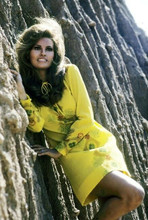 Raquel Welch smiling in yellow dress standing by mountain 4x6 inch photo