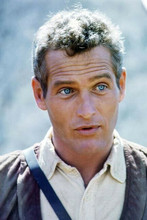 Paul Newman head and shoulders portrait from Hombre 4x6 inch photo