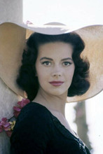 Natalie Wood 1960's pose in large brimmed summer hat 4x6 inch photo