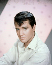 Elvis Presley stunning publicity portrait wearing white shirt 8x10 photo