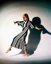 Faye Dunaway Black And White Check Dress Barefoot 8x10 Photo(20x25cm)