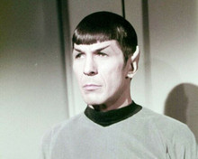 Leonard Nimoy as Mr Spock in Enterprise shirt Star Trek 8x10 photo