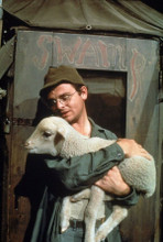 M.A.S.H Gary Burghoff as Radar carrying lamb by Swamp tent 8x10 photo
